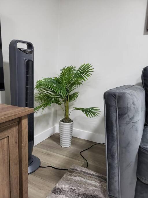 Serene Haven - 1 Bedroom Apartment. Apartment Calgary
