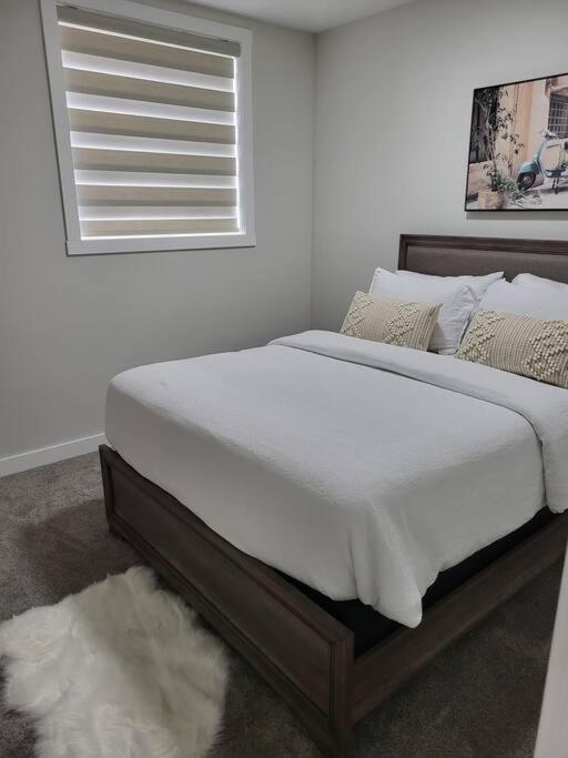 Serene Haven - 1 Bedroom Apartment. Apartment Calgary