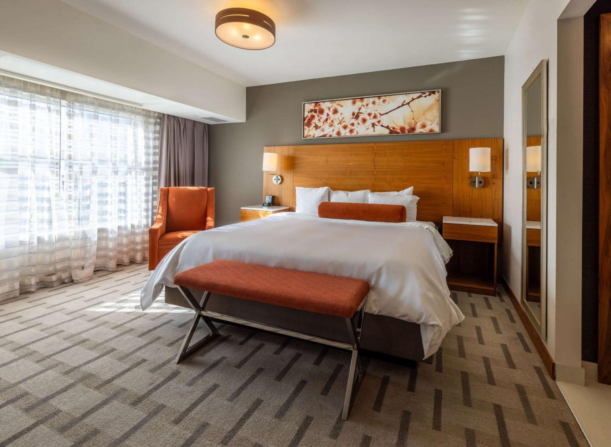Radisson & Conference Centre Airport 4*