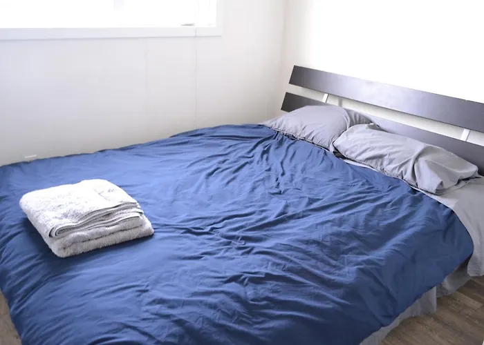 Private Bedroom On Basement Suite - Dover