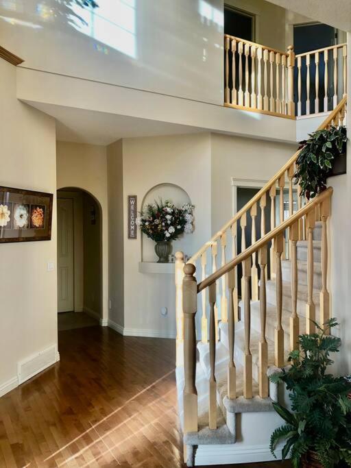Villa 2500 Sq House In Springbank Hill Bl 261818 *