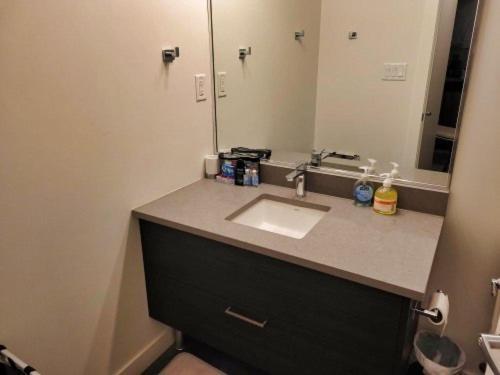 Apartment Furnished 1 Bedroom In East Village By Signature Suites Ltd Calgary