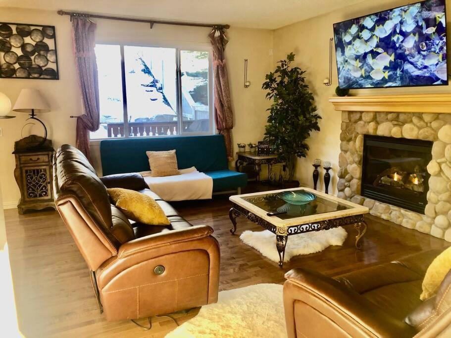 Villa 2500 Sq House In Springbank Hill Bl 261818 *
