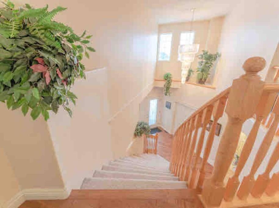Villa 2500 Sq House In Springbank Hill Bl 261818 Calgary