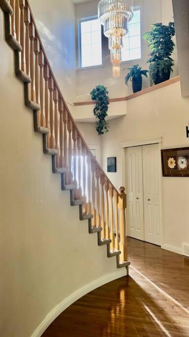 Villa 2500 Sq House In Springbank Hill Bl 261818