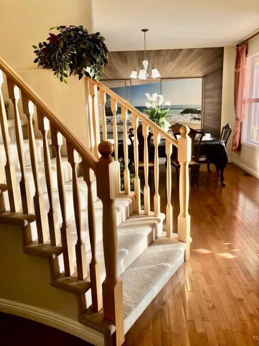 Villa 2500 Sq House In Springbank Hill Bl 261818 *