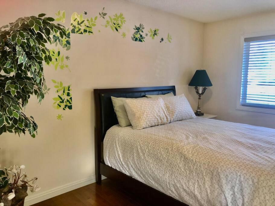 Villa 2500 Sq House In Springbank Hill Bl 261818 Calgary