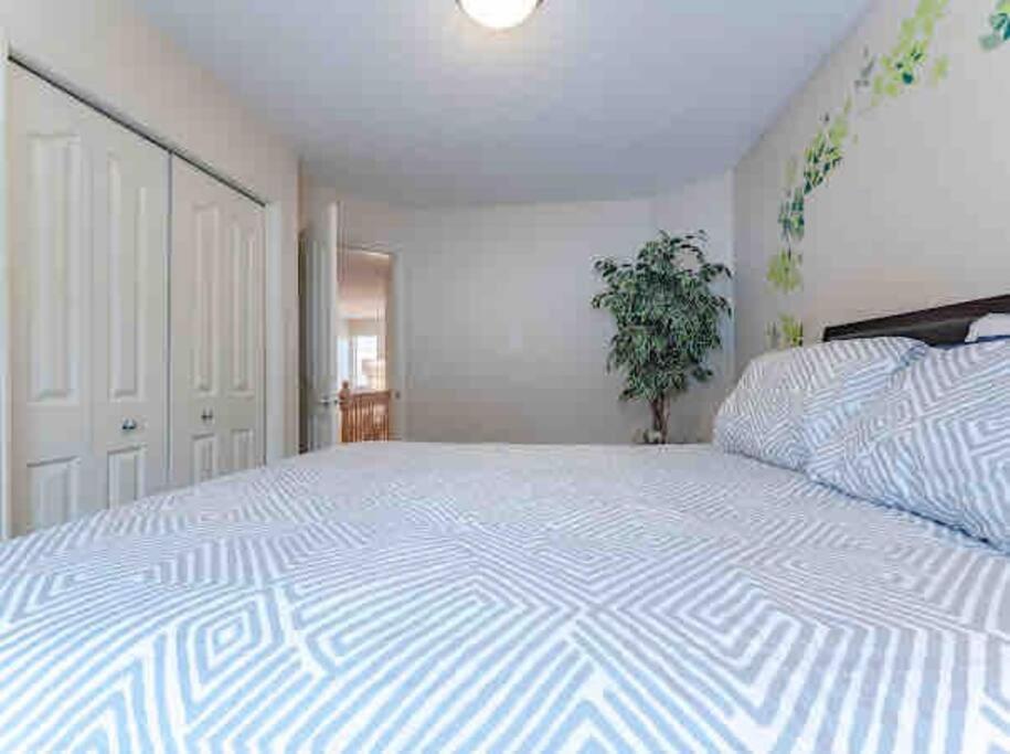 2500 Sq House In Springbank Hill Bl 261818 Calgary