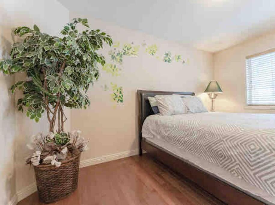 Villa 2500 Sq House In Springbank Hill Bl 261818 *