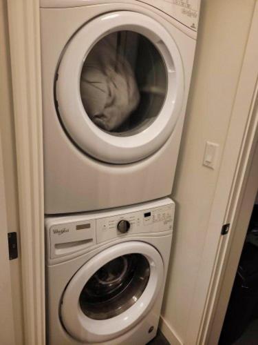 Furnished 1 Bedroom In East Village By Signature Suites Ltd