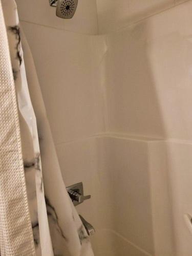 Furnished 1 Bedroom In East Village By Signature Suites Ltd Apartment