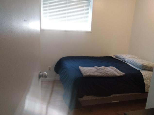 Private Bedroom On Basement - Dover Guest house *
