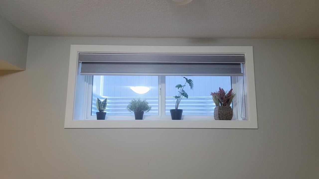 Cozy Springs Apartment