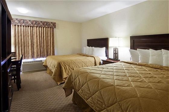 Comfort & Airport South 3*