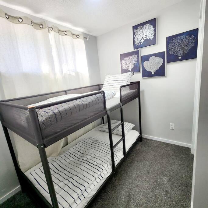 Apartment Aurora Legal *