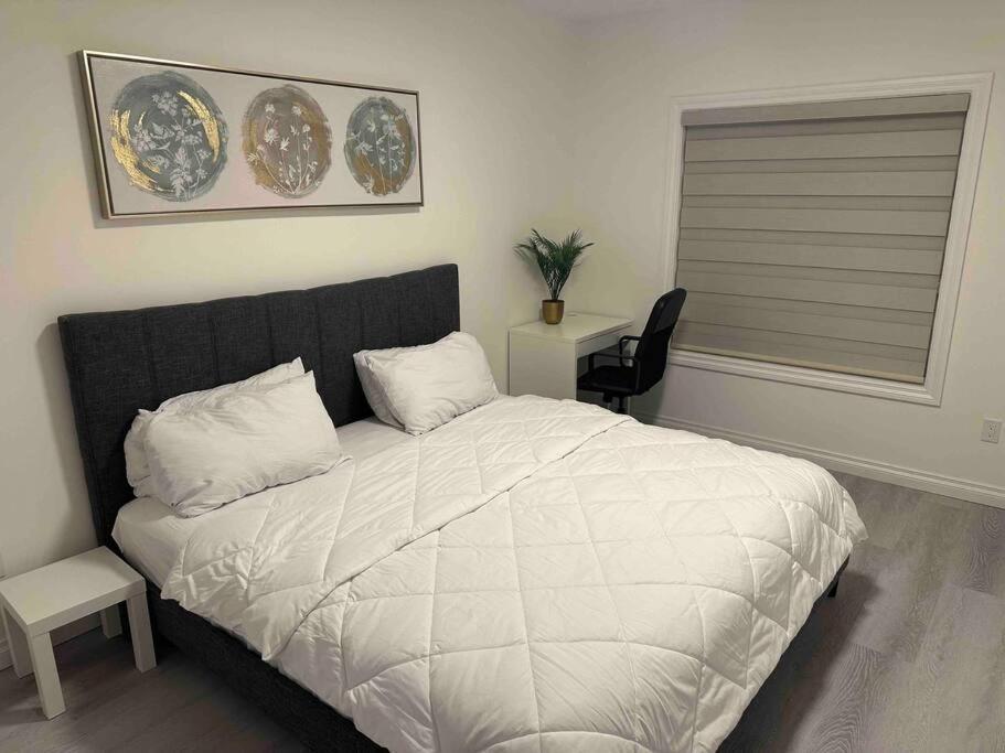 Sun Light Kissed Cozy - Modern Boho Paradise Calgary