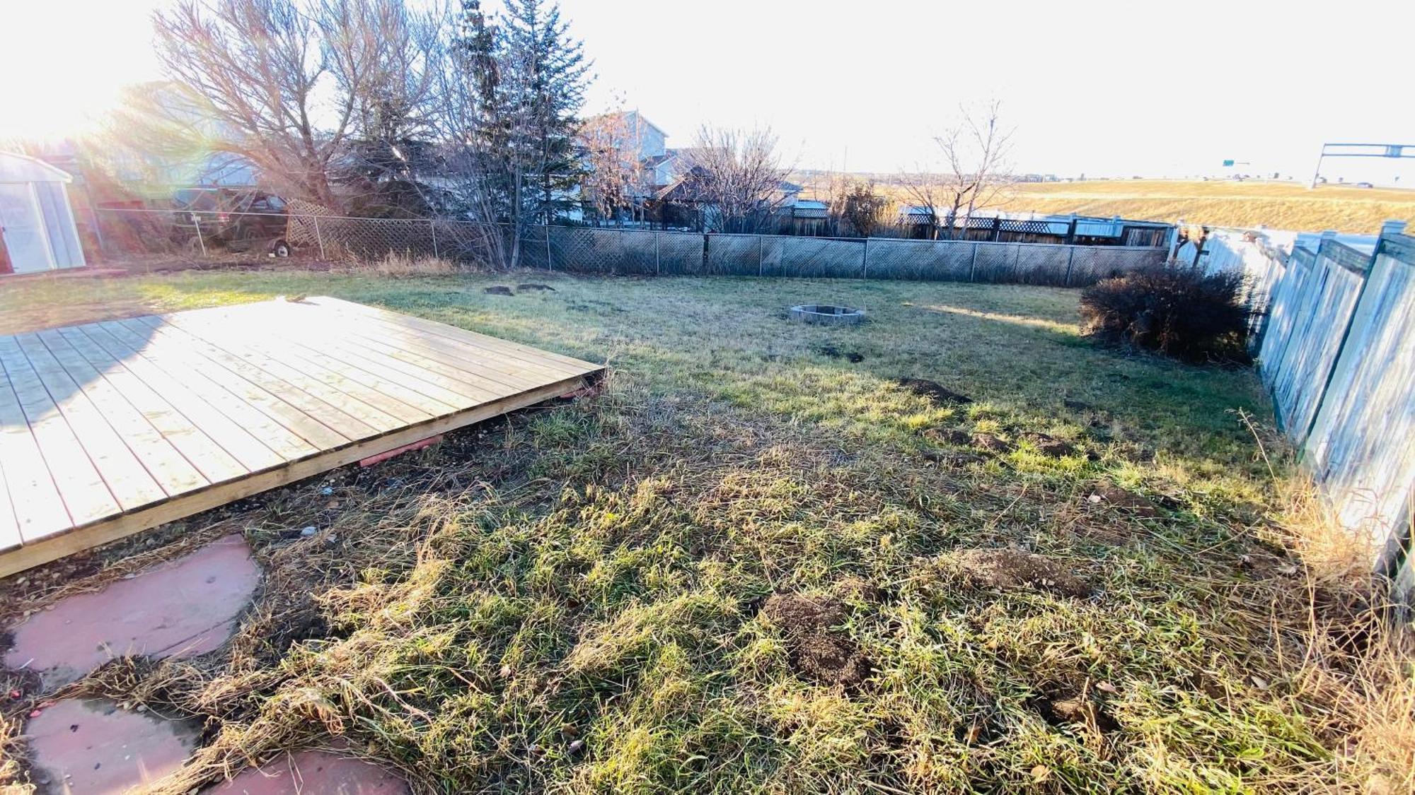 Walkout Basement Suite, 2 Bdr 4bd, Bright And Spacious
