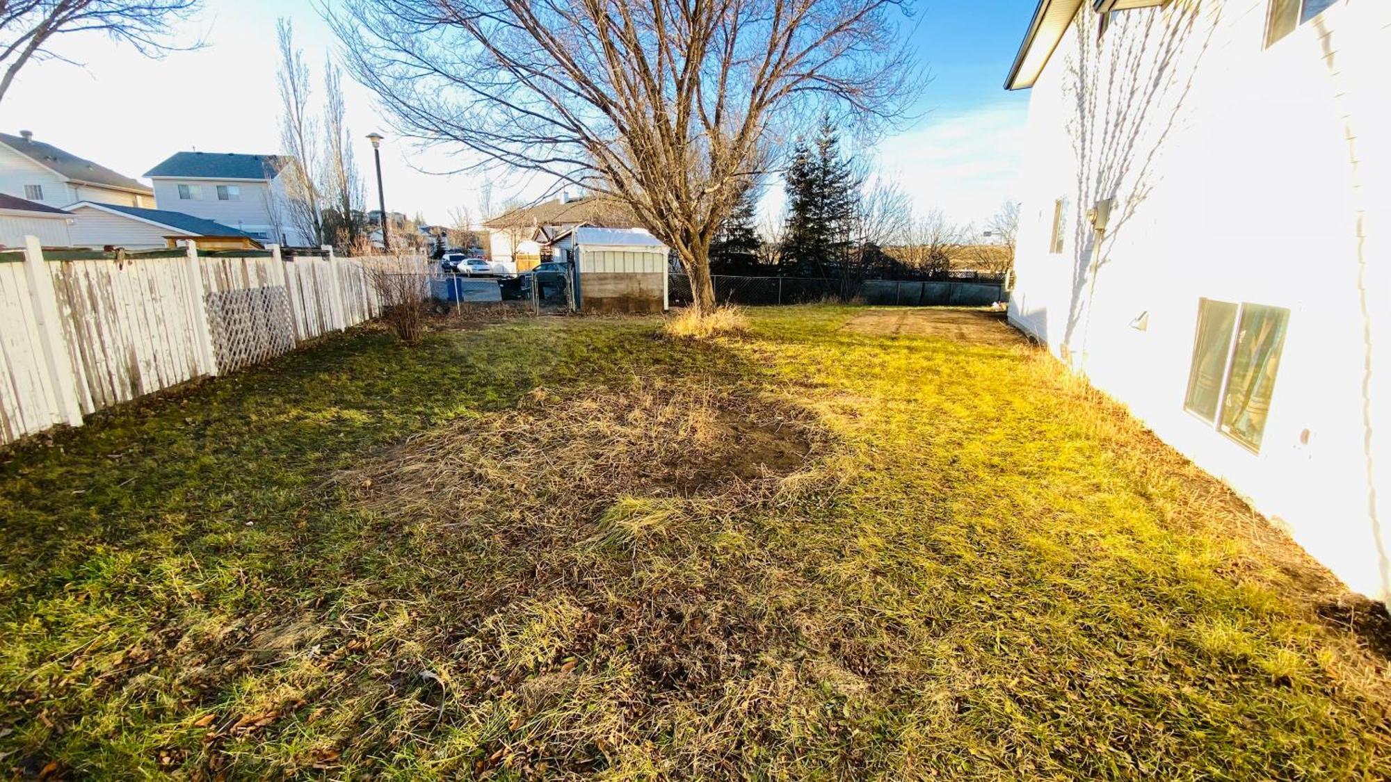 Walkout Basement Suite, 2 Bdr 4bd, Bright And Spacious Apartment *