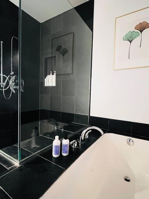 Apartment Sunny Penthouse On 17th Ave, 1 Bedroom, 1 Loft Bed With Ladder, 1 Sofa Bed, Sleeps 6, Downtown *