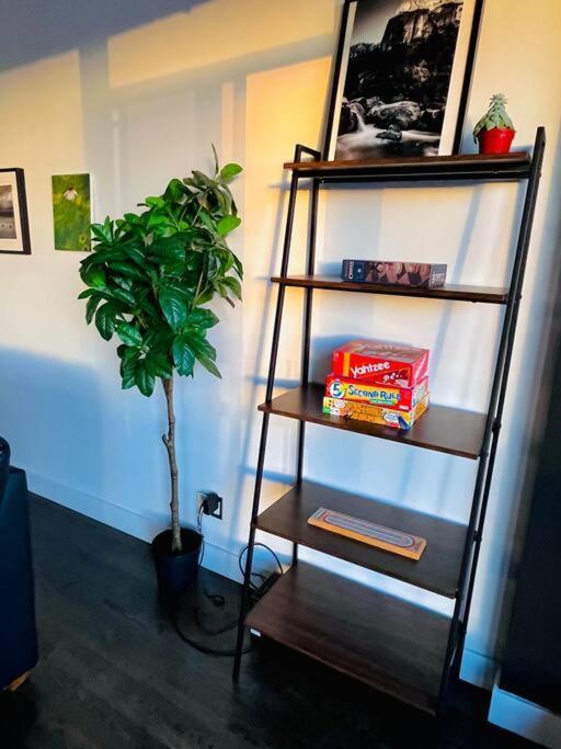 Sunny Penthouse On 17th Ave, 1 Bedroom, 1 Loft Bed With Ladder, 1 Sofa Bed, Sleeps 6, Downtown Apartment