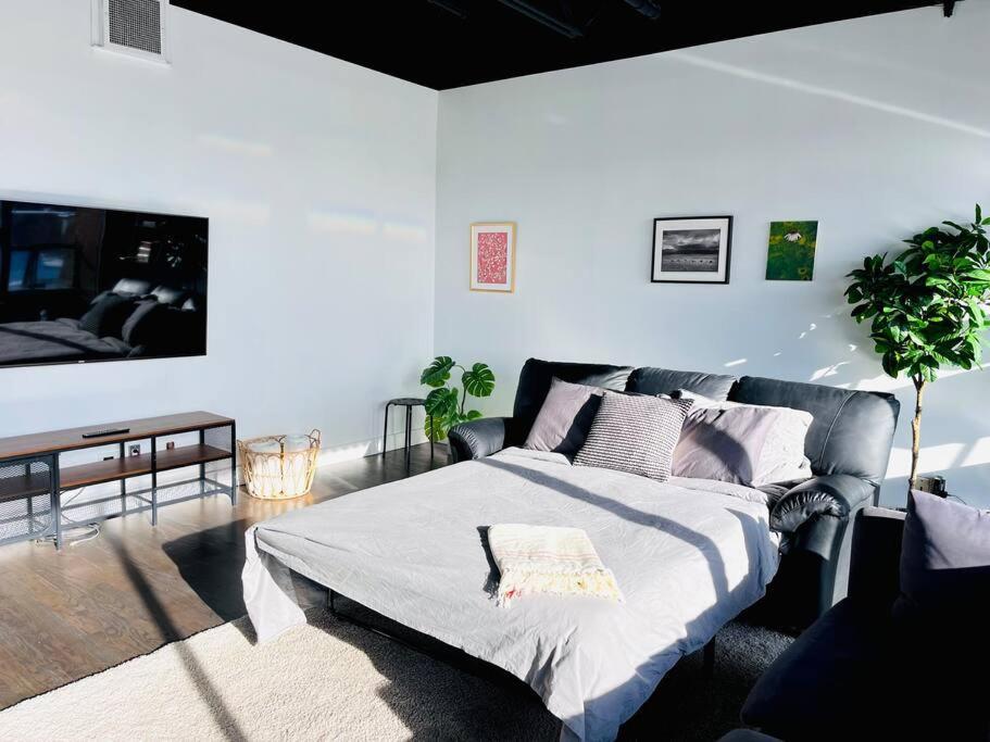 Sunny Penthouse On 17th Ave, 1 Bedroom, 1 Loft Bed With Ladder, 1 Sofa Bed, Sleeps 6, Downtown *
