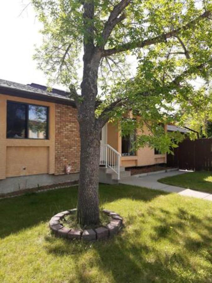 Cozy With Comfortable Beds And Fully Equipped Kitchen 15 Mins Drive From Airport, Downtown, Sait And U Of C And 80 Min Drive To Banff *