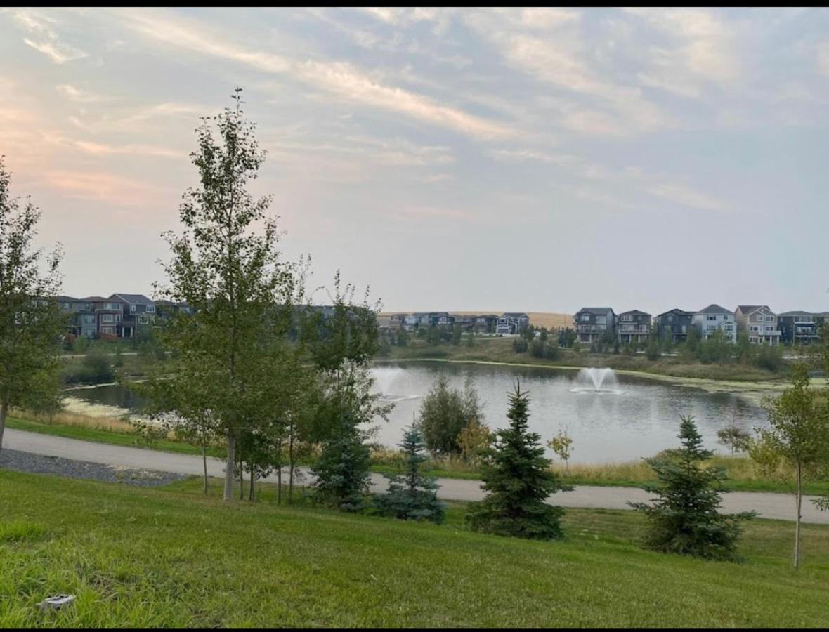 Apartment Beautiful 2 Bedroom Away From *