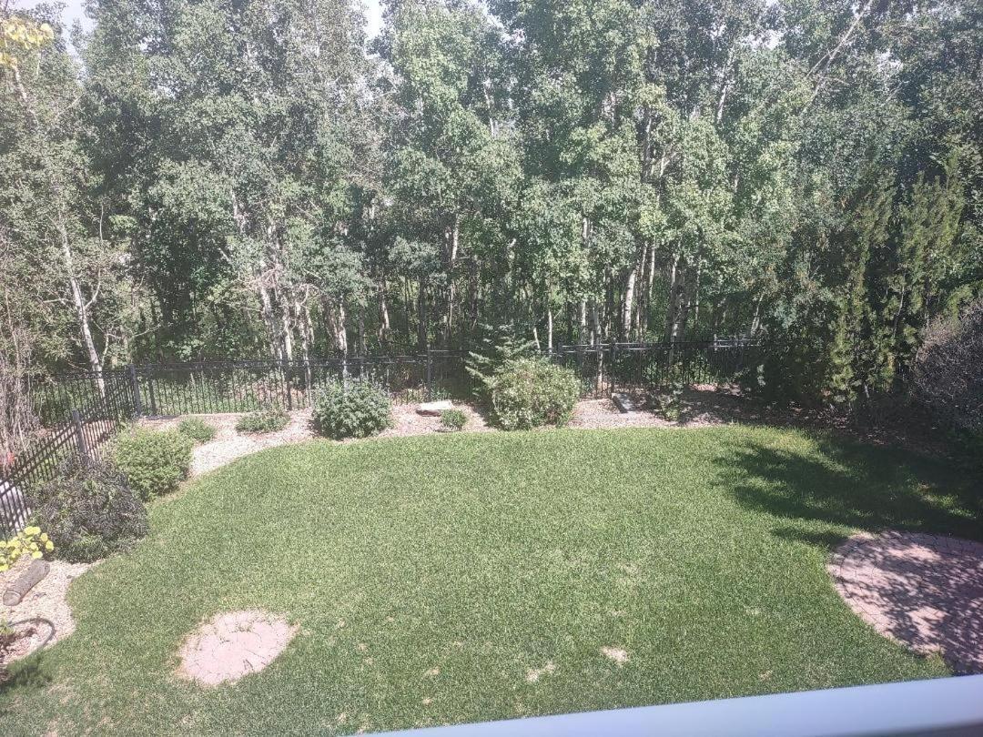 Spacious One Bedroom Walkout Basement