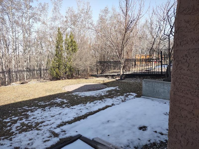 Apartment Spacious One Bedroom Walkout Basement Calgary