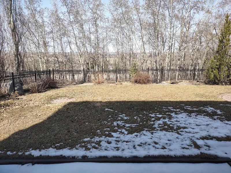 Spacious One Bedroom Walkout Basement Apartment Calgary