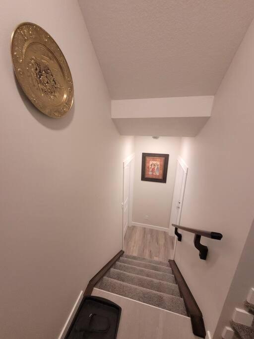 Cozy Brand New 2 Bedroom In Apartment