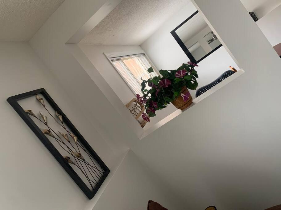 Lovely One Bedroom Calgary