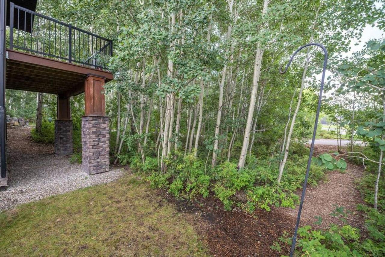 Apartment Escape To The Rockies But Near Includes Free Parking And Banff Entry Calgary