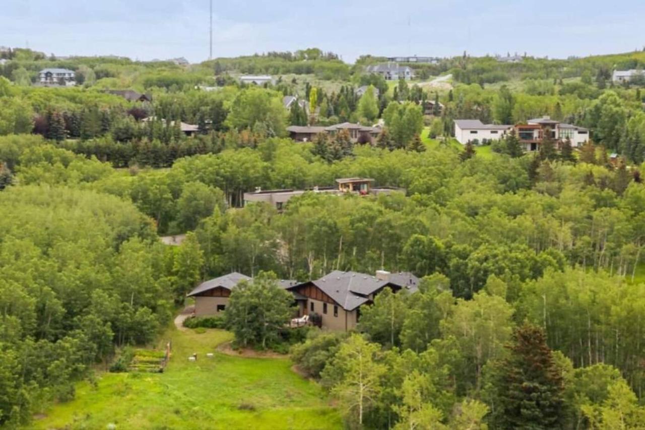 Escape To The Rockies But Near Includes Free Parking And Banff Entry Apartment Calgary