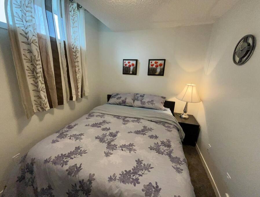 Brand New One Bedroom Apartment