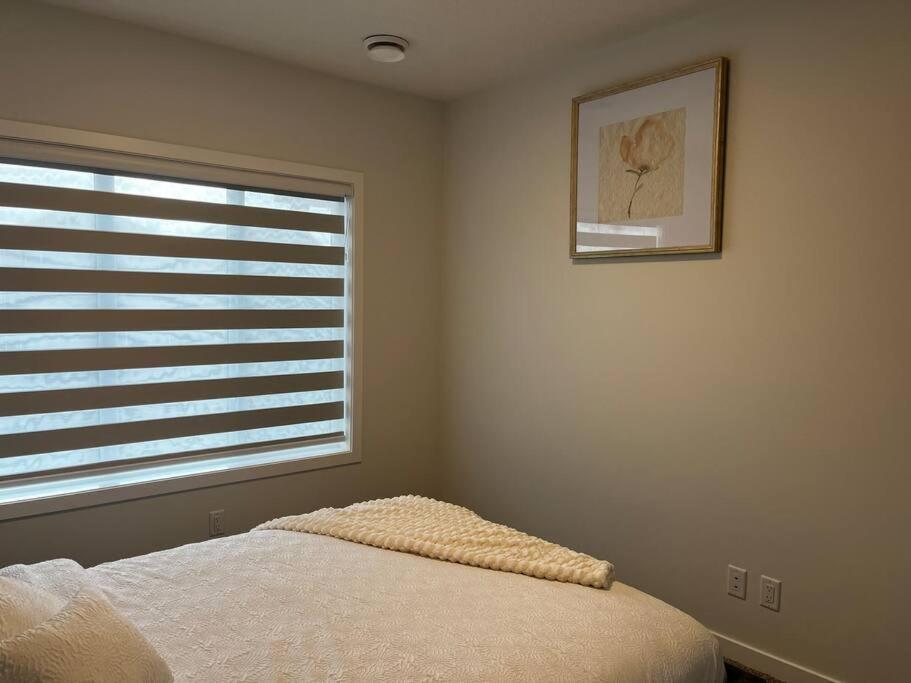 Brand New - Away From In Nw Apartment