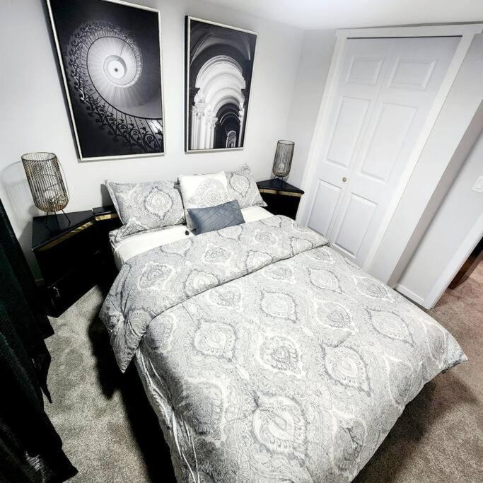 Aurora Legal Apartment Calgary