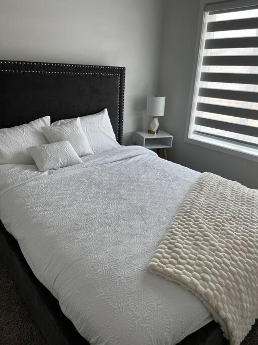 Apartment Brand New - Away From In Nw Calgary
