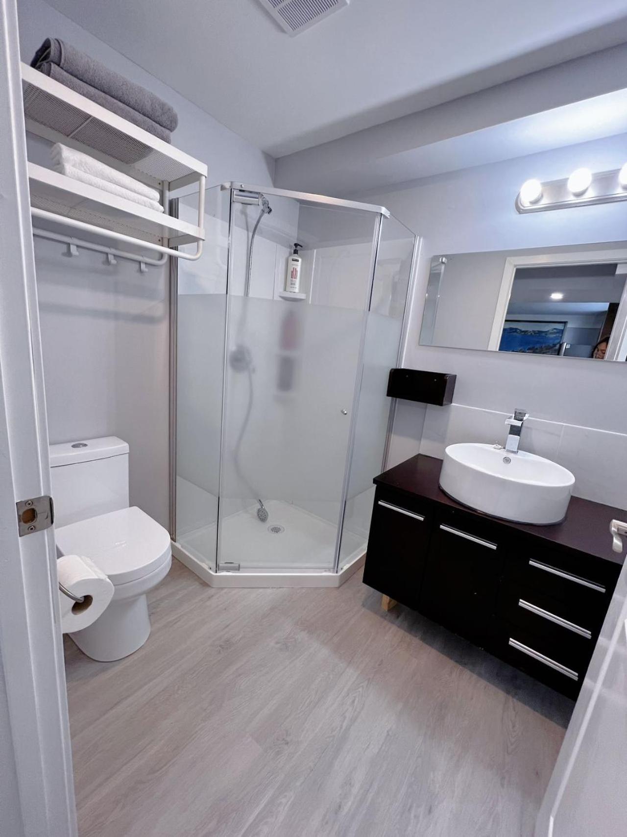 Villa Newly Renovated Elephant Close To Banff And Business Center Calgary