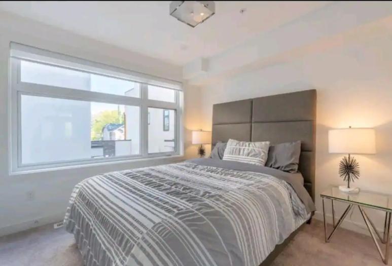 City Escape Oasis Apartment