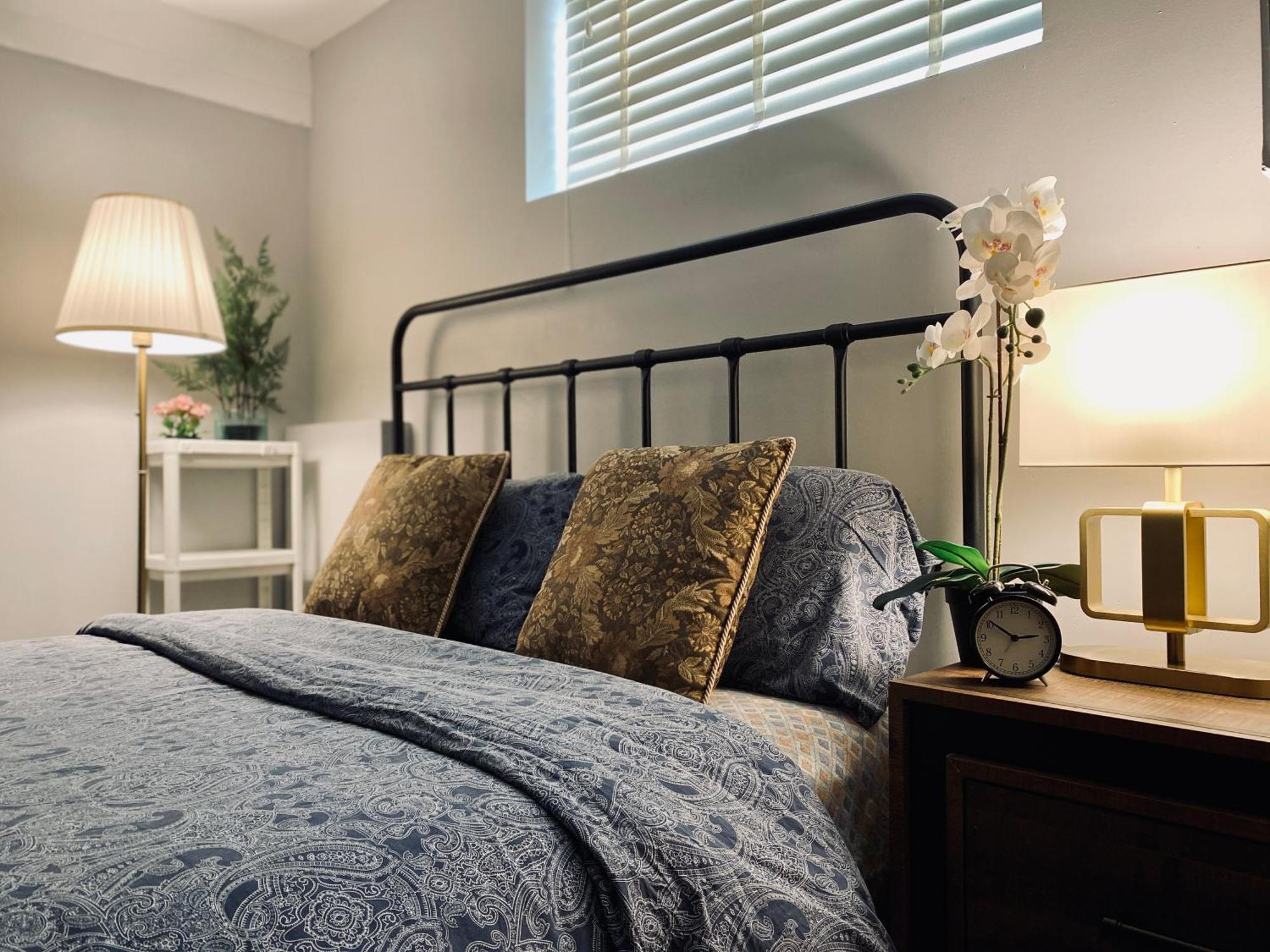 Newly Renovated Elephant Close To Banff And Business Center *
