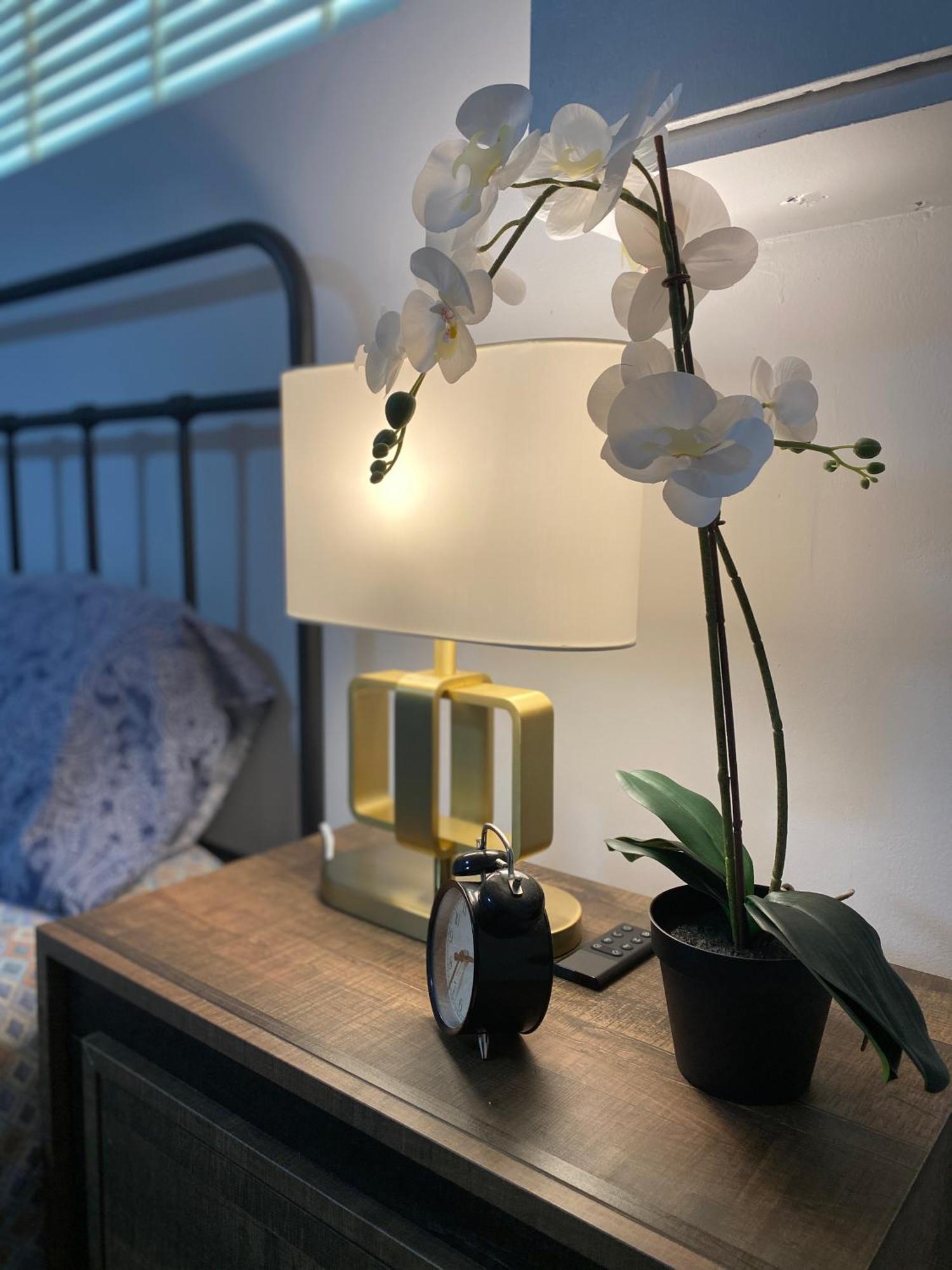 Newly Renovated Elephant Close To Banff And Business Center Villa Calgary