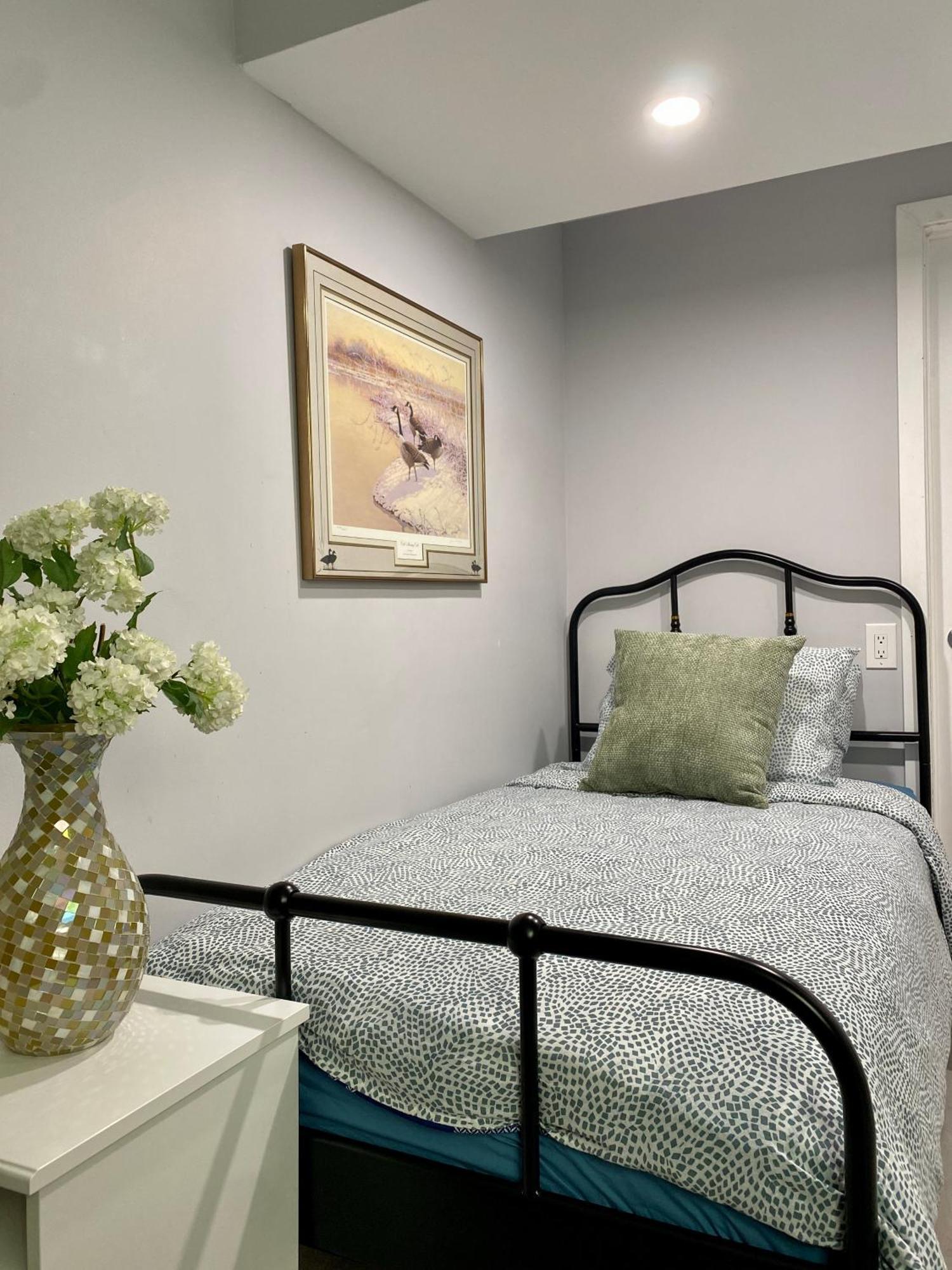 Newly Renovated Elephant Close To Banff And Business Center * Calgary