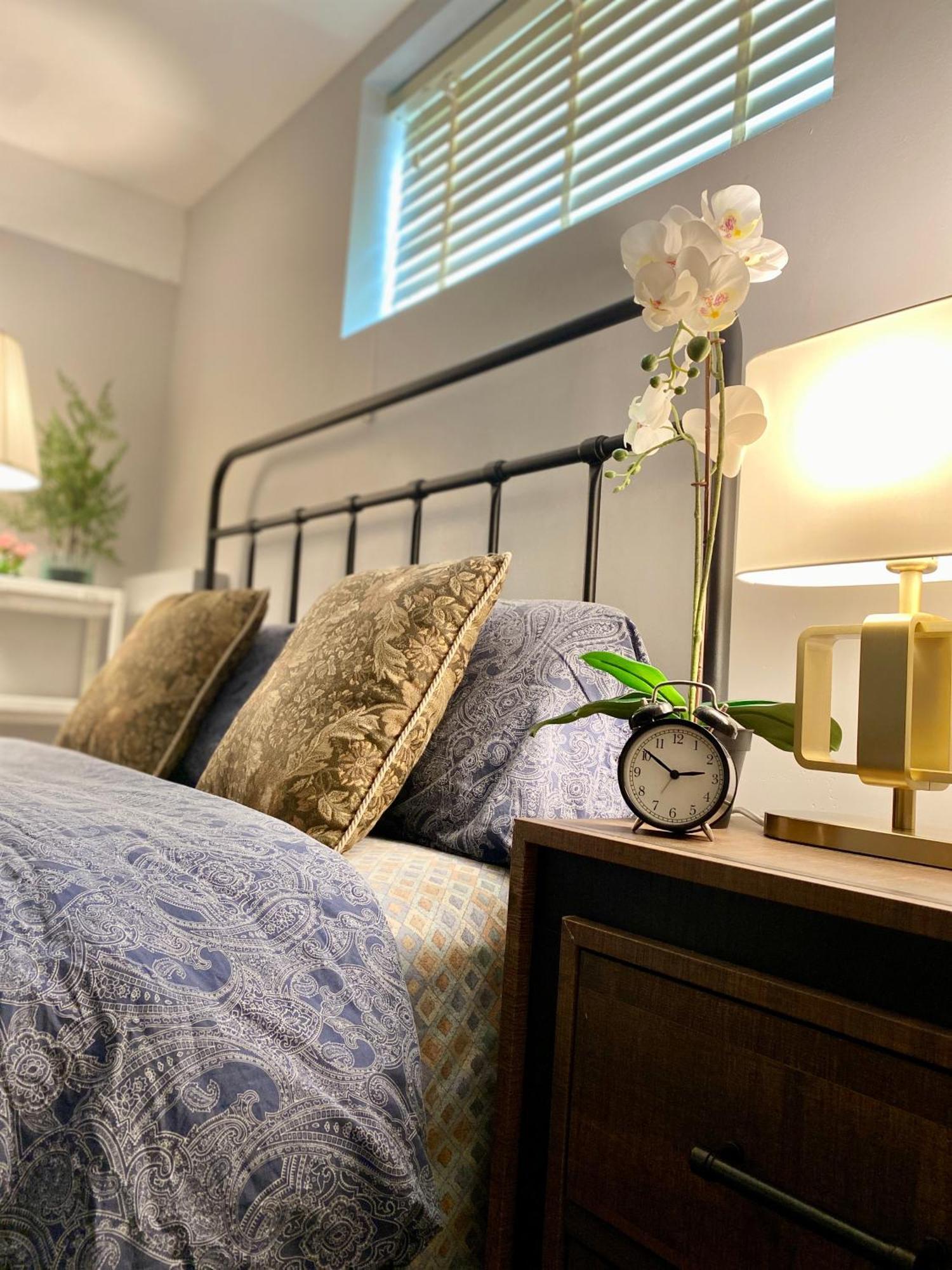Newly Renovated Elephant Close To Banff And Business Center Villa