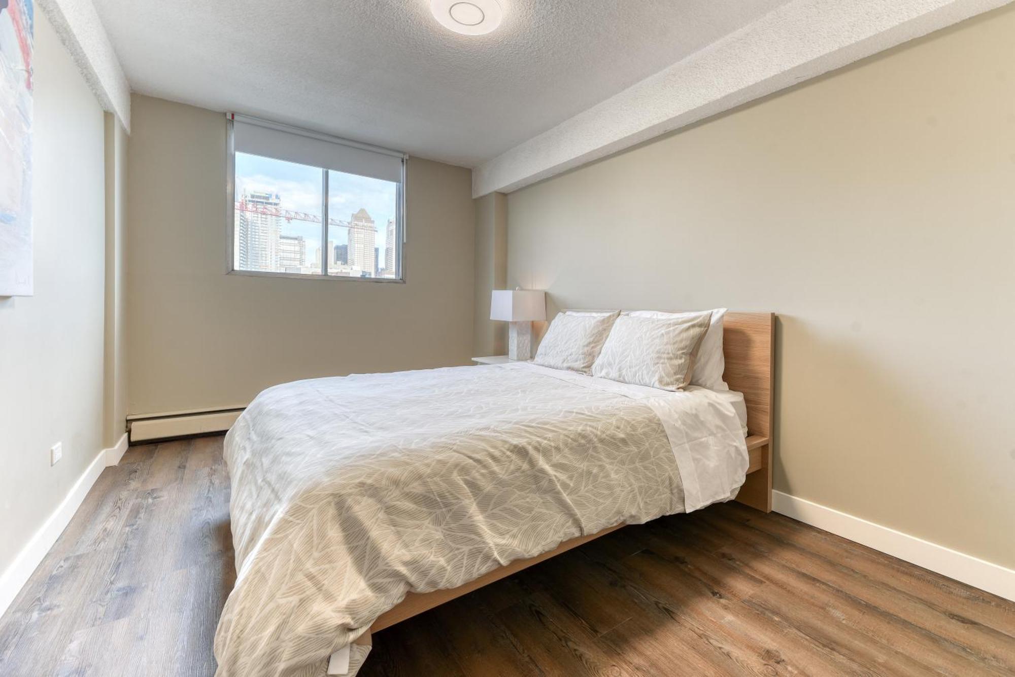 A Spacious Downtown 1-bed Apartment