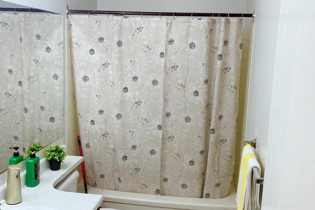 Apartment 5 Guests, 2bedroom,2queen Bed, 1sofa Bed And 1bath *