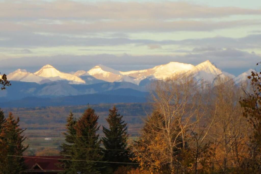 Escape To The Rockies But Near Includes Free Parking And Banff Entry Apartment