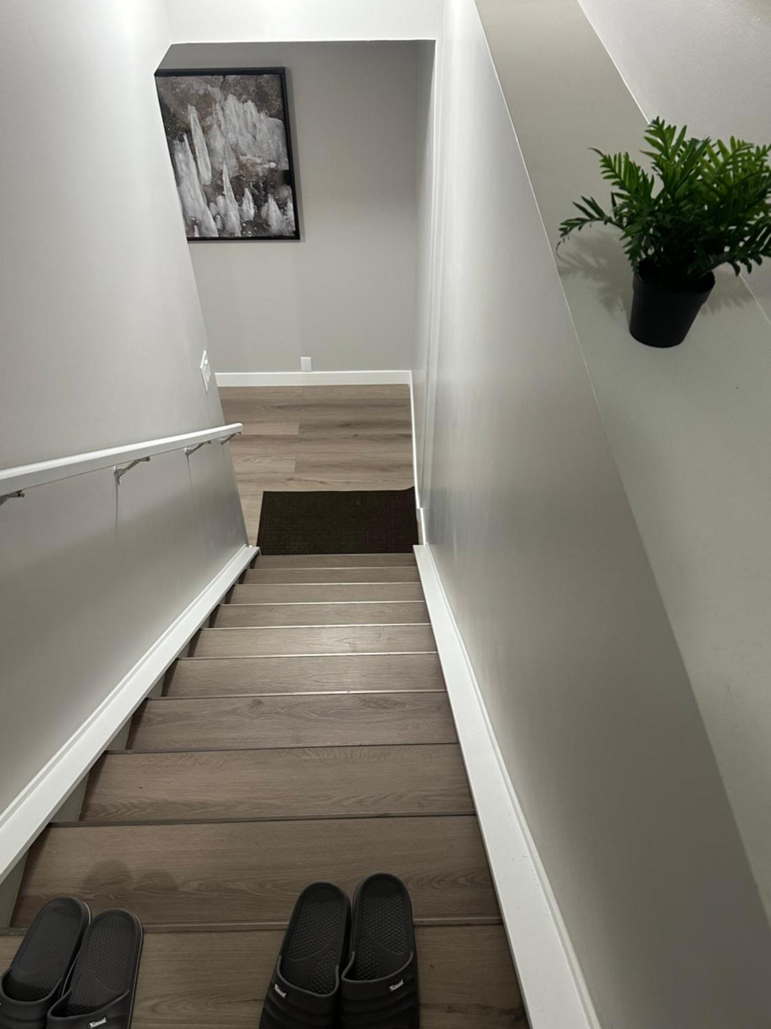 Apartment A Peaceful Cozy And Sparkling In A Very Serene Atmosphere Calgary