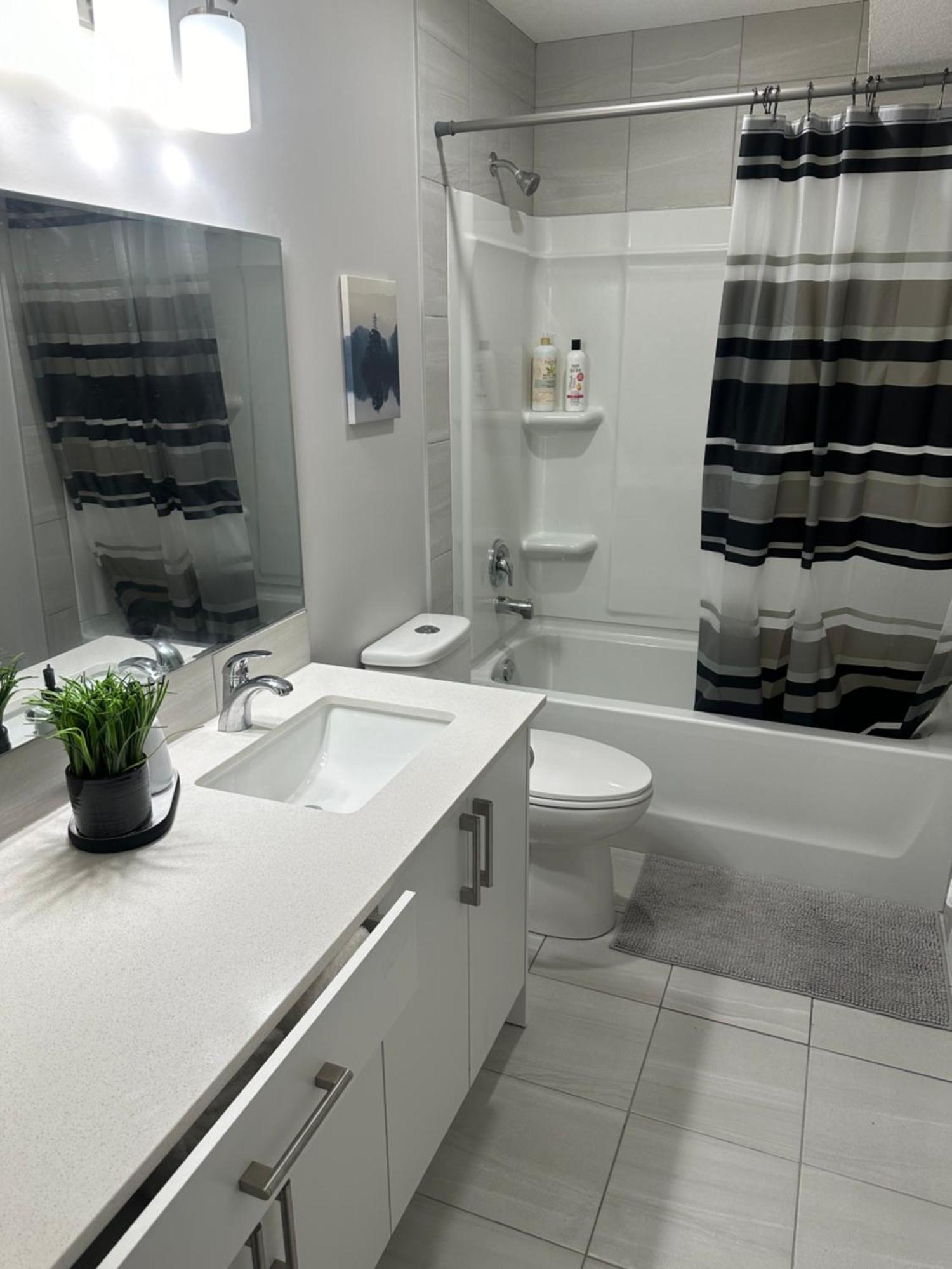 A Peaceful Cozy And Sparkling In A Very Serene Atmosphere Apartment Calgary