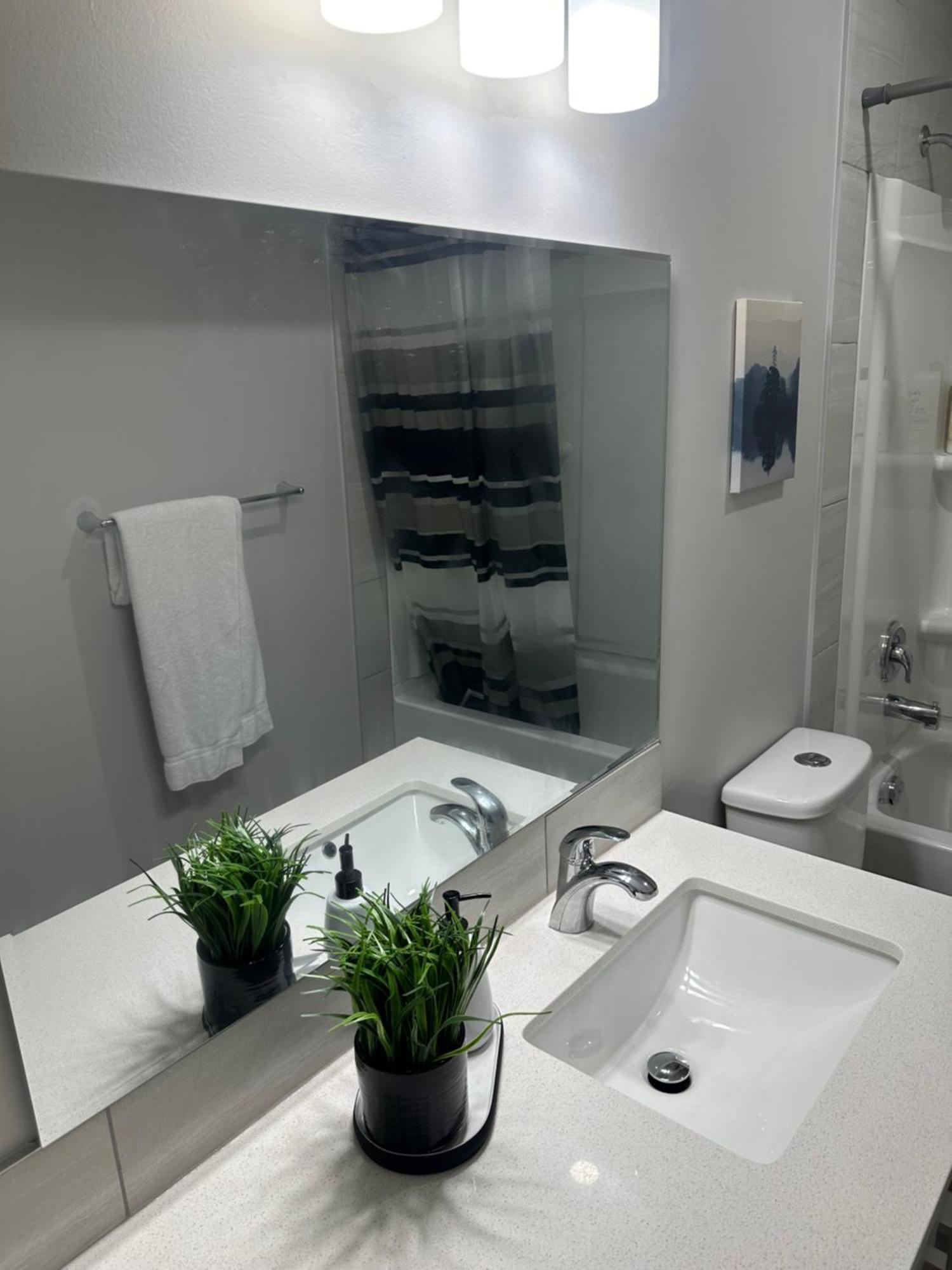 Apartment A Peaceful Cozy And Sparkling In A Very Serene Atmosphere Calgary
